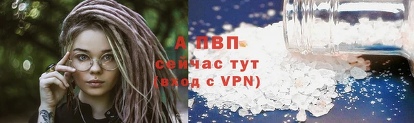 гидра Зеленодольск