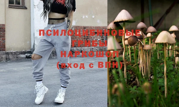 гашик Заволжье