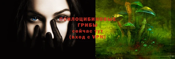 гидра Зеленодольск