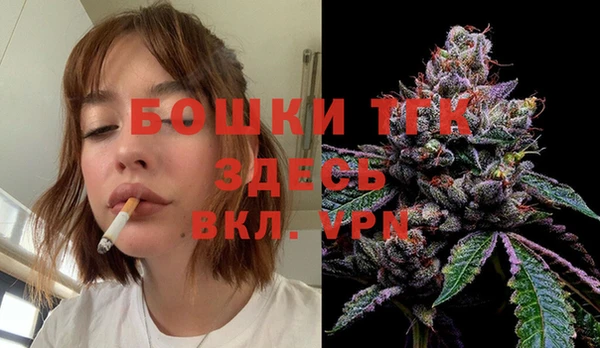 mdpv Заводоуковск