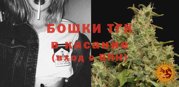 гидра Зеленодольск